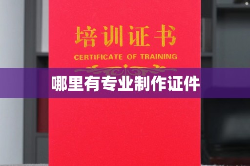湘阴哪里有专业制作证件