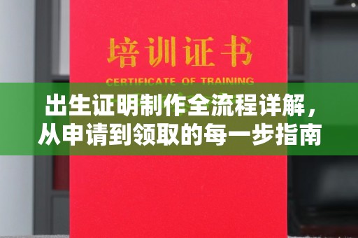 湘阴出生证明制作全流程详解，从申请到领取的每一步指南