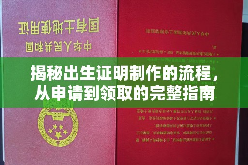 湘阴揭秘出生证明制作的流程，从申请到领取的完整指南