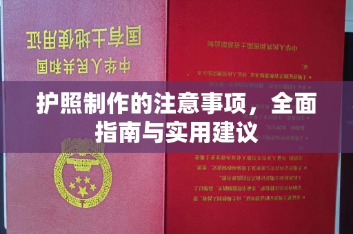 湘阴护照制作的注意事项，全面指南与实用建议