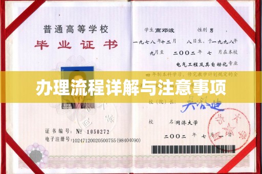 湘阴办理流程详解与注意事项